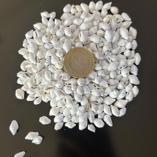 Nassa Shell Yerli Boyanmiş Kiloluk Deniz Kabuğu (500)grm Nassa Shell Yerli Boyanmiş Kiloluk Deniz Kabuğu (500)grm