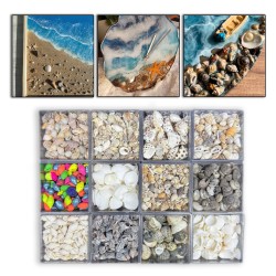 12 Farklı Minik Dekoratif Doğal Deniz Kabuğu Seti 12 Farklı Minik Dekoratif Doğal Deniz Kabuğu Seti