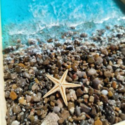 12 Farklı Minik Dekoratif Doğal Deniz Kabuğu Seti 12 Farklı Minik Dekoratif Doğal Deniz Kabuğu Seti