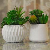 Epoksi Beton  Taştozu Saksı ve Kavanoz Silikon Kalıbı 10.2X7.3 CM Epoksi Beton  Taştozu Saksı ve Kavanoz Silikon Kalıbı 10.2X7.3 CM