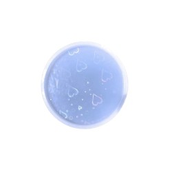 Epoksi Magnet Kalıbı Kendinden Hologramlı  Epoksi Magnet Kalıbı Kendinden Hologramlı