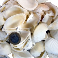Arca Arca / Yerli Kiloluk Deniz Kabuğu  (1 KG) Arca Arca / Yerli Kiloluk Deniz Kabuğu  (1 KG)