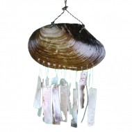 Kabıbı Duvar Dekoru-Placuna Kabıbı Duvar Dekoru-Placuna