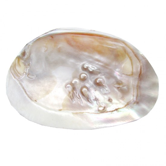 Macabe Pearlızed İncili Macabe Pearlızed İncili