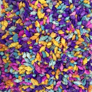 Nassa Shell-Karışık Renkli Kiloluk Deniz Kabuğu 250 Gr Nassa Shell-Karışık Renkli Kiloluk Deniz Kabuğu 250 Gr