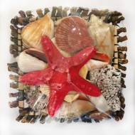 Sepet Kabuk 6 İNÇ Ağaç Dalı ( Yuvarlak ) Sepet Kabuk 6 İNÇ Ağaç Dalı ( Yuvarlak )