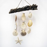 Parmak Yıldızlıradula Ağaç Dalı SH 1445 Parmak Yıldızlıradula Ağaç Dalı SH 1445