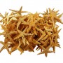 Natural Deniz Yıldızı 6 Cm - 9 CM Natural Deniz Yıldızı 6 Cm - 9 CM