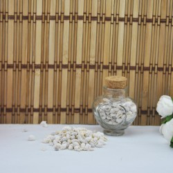 Nassa Shell Yerli Boyanmiş Kiloluk Deniz Kabuğu (1 KG Nassa Shell Yerli Boyanmiş Kiloluk Deniz Kabuğu (1 KG