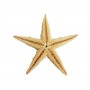 Natural Deniz Yıldızı 6 Cm - 9 CM Natural Deniz Yıldızı 6 Cm - 9 CM