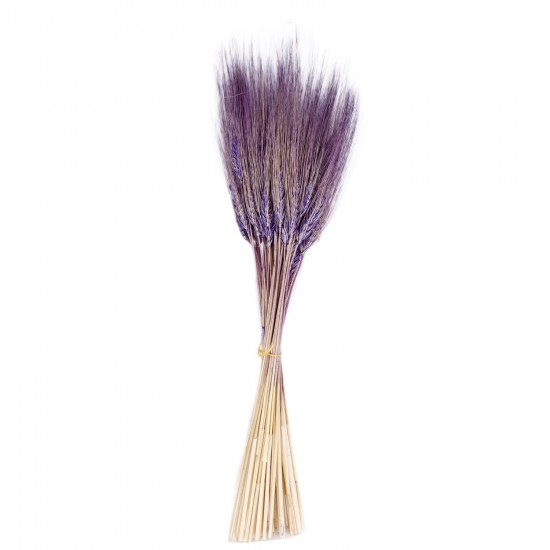 Kuru Çiçek Doğal Başak Buğday Başağı 45 CM (1 Demet) Kuru Çiçek Doğal Başak Buğday Başağı 45 CM (1 Demet)