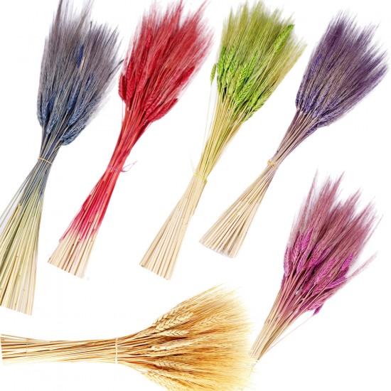 Kuru Çiçek Doğal Başak Buğday Başağı 45 CM (1 Demet) Kuru Çiçek Doğal Başak Buğday Başağı 45 CM (1 Demet)