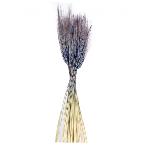 Kuru Çiçek Doğal Başak Buğday Başağı 45 CM (1 Demet) Kuru Çiçek Doğal Başak Buğday Başağı 45 CM (1 Demet)