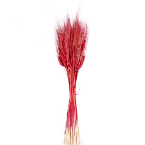 Kuru Çiçek Doğal Başak Buğday Başağı 45 CM (1 Demet) Kuru Çiçek Doğal Başak Buğday Başağı 45 CM (1 Demet)