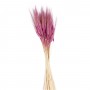Kuru Çiçek Doğal Başak Buğday Başağı 45 CM (1 Demet) Kuru Çiçek Doğal Başak Buğday Başağı 45 CM (1 Demet)