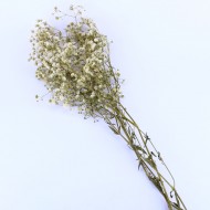 Kuru Çiçek Doğal Kurutulmuş Çiçek Doğal Cipso 40 CM 20 GR Kuru Çiçek Doğal Kurutulmuş Çiçek Doğal Cipso 40 CM 20 GR