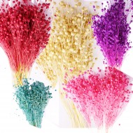 Kuru Çiçek Doğal Kurutulmuş Keten  Otu Çiçeği 35 GR (1 Demet) Kuru Çiçek Doğal Kurutulmuş Keten  Otu Çiçeği 35 GR (1 Demet)