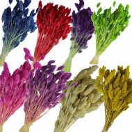 Kuru Çiçek Kuş Otu Şoklanmış Kurutulmuş 40 CM  Kuru Çiçek Kuş Otu Şoklanmış Kurutulmuş 40 CM