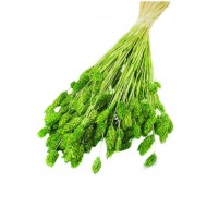 Kuru Çiçek Kuş Otu Şoklanmış Kurutulmuş 40 CM  Kuru Çiçek Kuş Otu Şoklanmış Kurutulmuş 40 CM