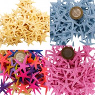 Polyester Deniz Yıldızı Minik Boy  1.5 Cm -3 Cm (100 Adet) Polyester Deniz Yıldızı Minik Boy  1.5 Cm -3 Cm (100 Adet)
