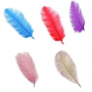 Tüy Organizasyon İçin 40 CM X 50 CM Tüy Organizasyon İçin 40 CM X 50 CM