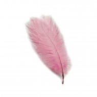 Tüy Organizasyon İçin 40 CM X 50 CM Tüy Organizasyon İçin 40 CM X 50 CM