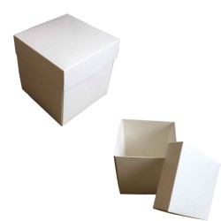 Komple Karton Kutu 12X12x12 (10 Adet ) Komple Karton Kutu 12X12x12 (10 Adet )