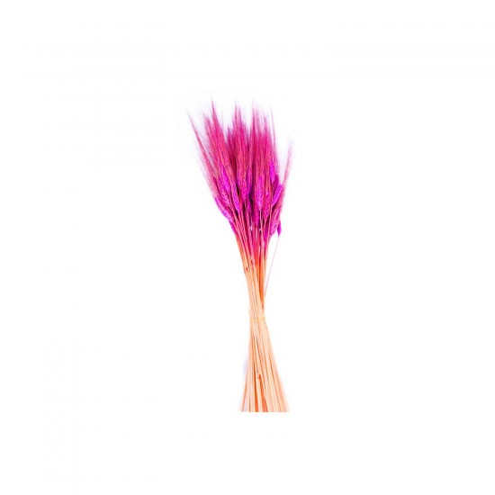 Kuru Çiçek Doğal Başak Buğday Başağı 45 CM (1 Demet) Kuru Çiçek Doğal Başak Buğday Başağı 45 CM (1 Demet)