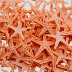 Polyester Deniz Yıldızı Minik Boy 0.5 CM- 1.5 CM (100 Adet) Polyester Deniz Yıldızı Minik Boy 0.5 CM- 1.5 CM (100 Adet)