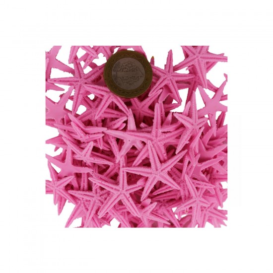 Polyester Deniz Yıldızı Minik Boy 0.5 CM- 1.5 CM (100 Adet) Polyester Deniz Yıldızı Minik Boy 0.5 CM- 1.5 CM (100 Adet)