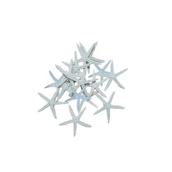 Polyester Deniz Yıldızı Simli  Beyaz  6 CM  (12 Adet) Polyester Deniz Yıldızı Simli  Beyaz  6 CM  (12 Adet)