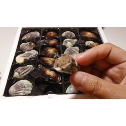Silikon Kalıp Dolgulu Pasta Kek & Çikolata, Sabun Kalıbı 16 Lı Silikon Kalıp Dolgulu Pasta Kek & Çikolata, Sabun Kalıbı 16 Lı