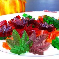 Silikon Kalıp Yaprak Modeli 8 li Silikon Kalıp Yaprak Modeli 8 li